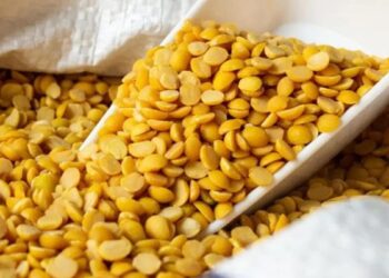 दाल ने बढ़ाया खाने का स्वाद : तीन साल बाद अरहर दाल की कीमत घटी,  100 से 120 रुपए किलो तक पहुंची