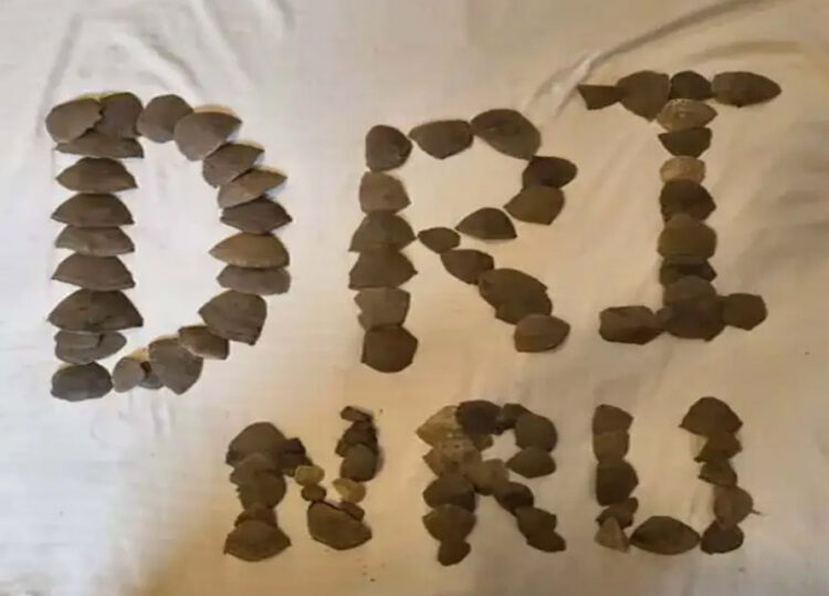 DRI की बड़ी कार्रवाई : जगदलपुर में 16 किलो पैंगोलिन शल्क के साथ तस्करी सिंडिकेट का भंडाफोड़