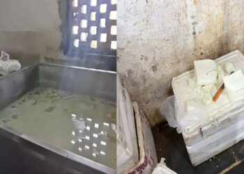 राजधानी में दो पनीर फैक्ट्रियों पर छापा : 1000 हजार किलो पनीर नष्ट किया, खाद्य विभाग की टीम ने की कार्रवाई