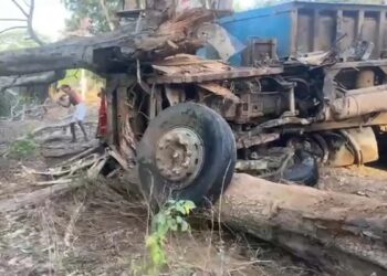 पेड़ से टकराया रेत से लदा ट्रेलर : बाल-बाल बचा चालक, इलाके की बिजली गुल