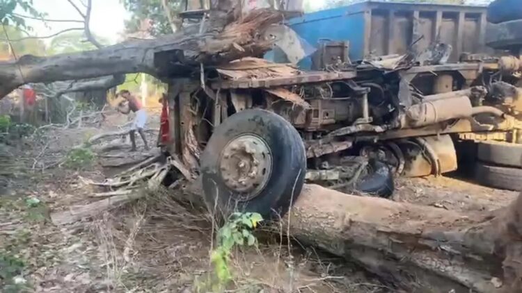 पेड़ से टकराया रेत से लदा ट्रेलर : बाल-बाल बचा चालक, इलाके की बिजली गुल