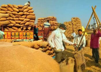 डोंगरगढ़ के बागरेकसा धान उपार्जन केंद्र में 52 लाख का डिजिटल घोटाला : प्रति बोरा 2 किलो फर्जी कमी दिखाकर 1,696 क्विंटल धान का गबन
