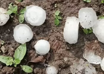 15 राज्यों में प्री-मानसून बारिश का अलर्ट :  राजस्थान में गिरे ओले, यूपी में 100 किमी प्रति घंटे की रफ्तार से आया तूफान