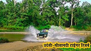 उदंती सीतानदी टाइगर रिजर्व में दिखा दुनिया का सबसे निडर जीव ‘हनी बैजर’ : कैमरे में कैद हुई दुर्लभ कबरबिज्जू की तस्वीर