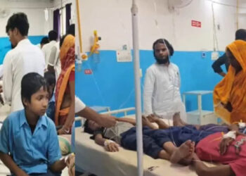 बिहार के मिड-डे मील में निकला सांप :  250 से अधिक बच्चे बीमार, प्रशासन में मचा हड़कंप