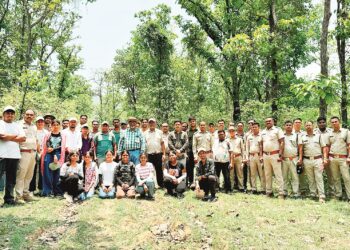 कसडोल वन परिक्षेत्र में 80 से अधिक औषधीय वनस्पतियों की पहचान : अनेक रोगों का होगा उपचार