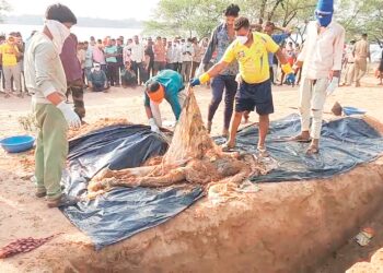 कब्र से निकाले गए शव : ग्रामीणों ने लगाया जहरीली शराब पिलाकर हत्या का आरोप, एक ही गांव में 8 लोगों के मौतों का रहस्य गहराया
