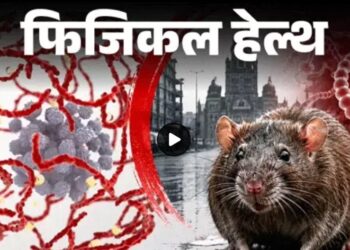 फिजिकल हेल्थ- रैट फीवर पर एडवाइजरी – बारिश में बढ़ता रिस्क, पानी में न भीगें, जानें सभी लक्षण और बचाव के लिए जरूरी सावधानियां