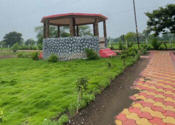 भखारा का आईटीआई परिसर : आकार ले रहा ‘ऑपरेशन सिंदूर उद्यान’, हरियाली से बढ़ी परिसर की खूबसूरती