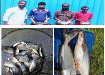 जलाशय से समृद्धि तक का सफर : 54 केजो ने बदली मछुआ समिति की तस्वीर