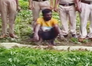 कांकेर में अरहर की फसल के बीच गांजे की खेती का भंडाफोड़ : 4 लाख के पौधे बरामद, ग्रामीण गिरफ्तार