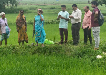 डिजिटल क्रांति की ओर नारायणपुर की खेती किसानी : 176 गांवों में 55 हजार से अधिक खसरों का हो रहा डिजिटल क्रॉप सर्वे